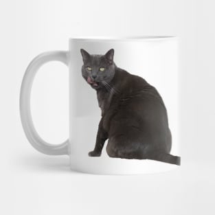 Russian Blue Cat Mug